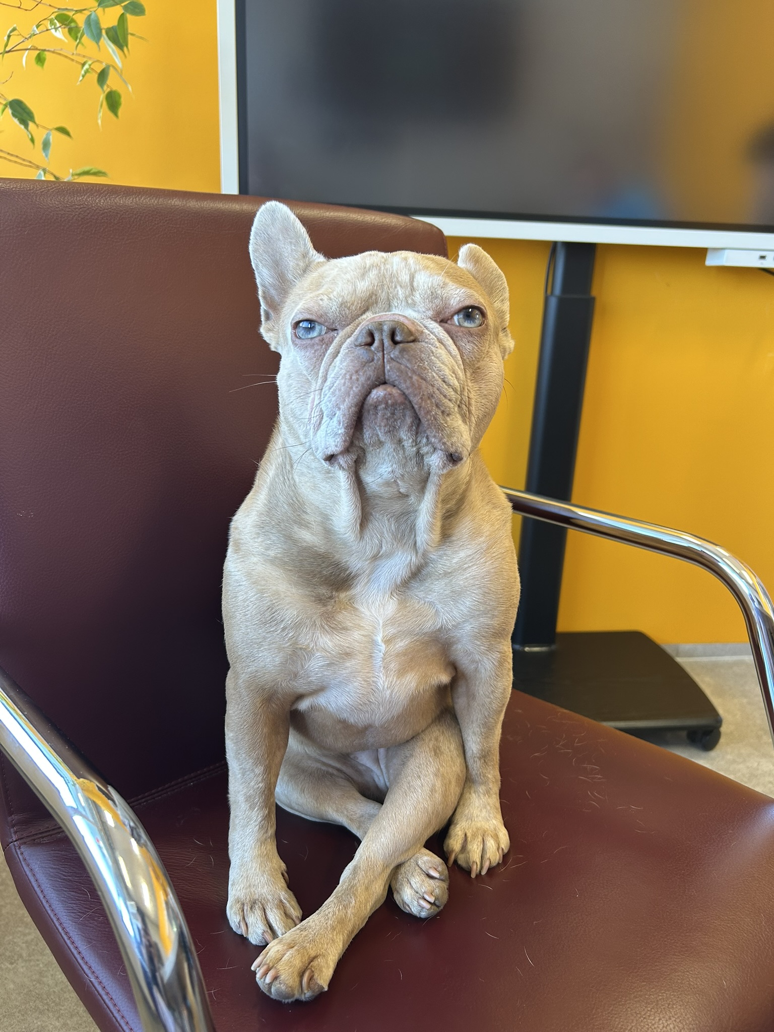 Real Lilo sitting with her legs crossed